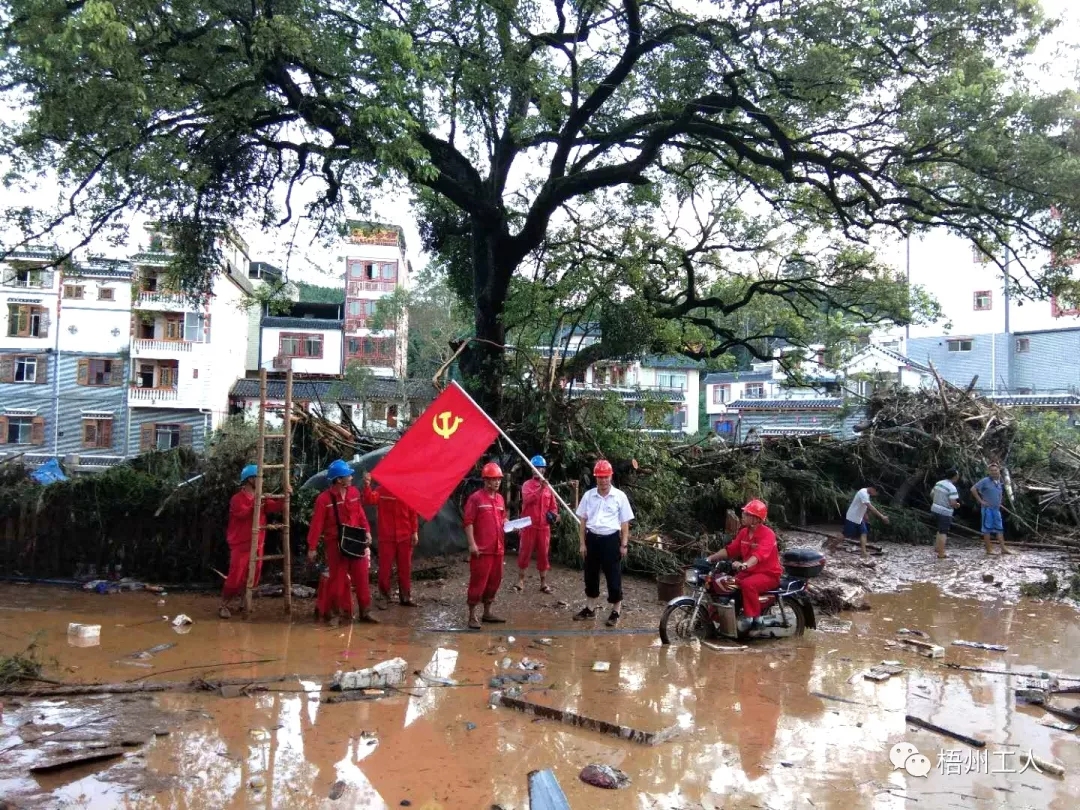 眾志成城戰(zhàn)洪魔