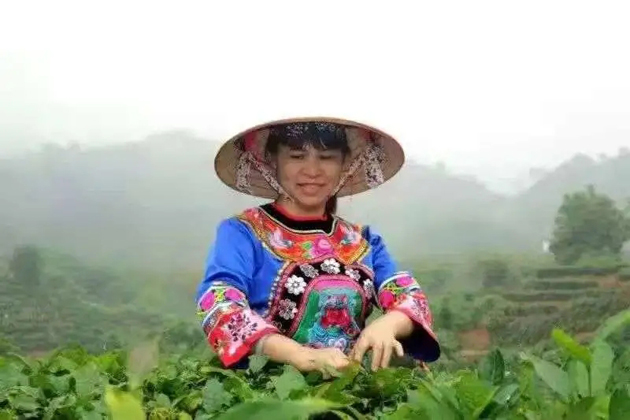 【梧州工匠】劉錦芳：鉆研和創(chuàng)新，帶領(lǐng)鄉(xiāng)親發(fā)家致富