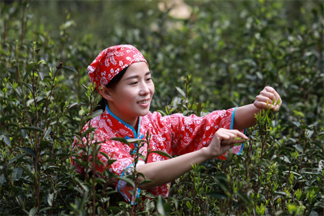 2022年“全國(guó)十佳農(nóng)民”揭曉 全國(guó)勞模石濡菲上榜！