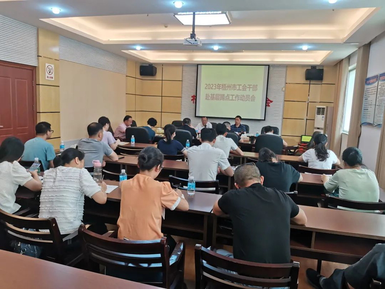 梧州市總工會(huì)召開2023年梧州市工會(huì)干部赴基層蹲點(diǎn)工作動(dòng)員會(huì)