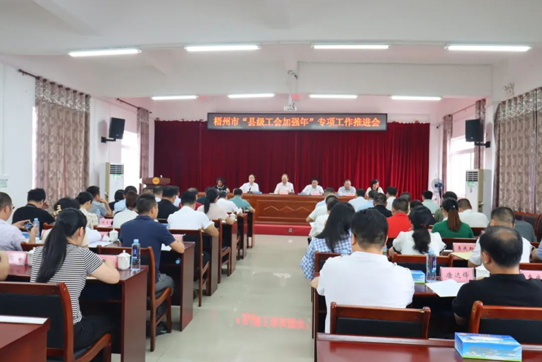 梧州市召開(kāi)“縣級(jí)工會(huì)加強(qiáng)年”專項(xiàng)工作推進(jìn)會(huì)