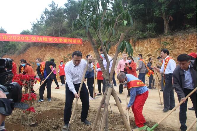 植樹造林，這群楷模這樣做