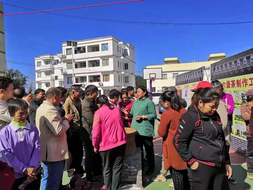 蒼梧縣總工會(huì)舉辦六堡茶技能培訓(xùn)