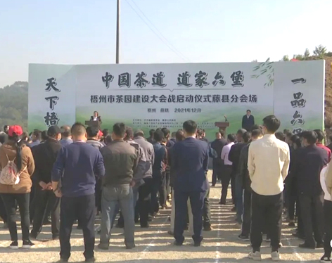 我市召開茶產(chǎn)業(yè)發(fā)展大會(huì)茶園建設(shè)現(xiàn)場(chǎng)會(huì) 吹響建設(shè)百萬(wàn)畝茶園沖鋒號(hào)角