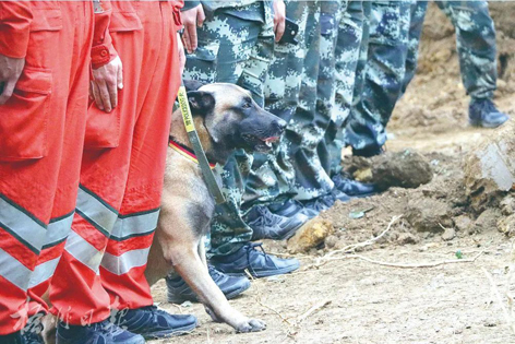 消防、武警、摩托車運輸隊等多方力量聯(lián)合搜救｜東航客機墜毀事故救援現(xiàn)場直擊