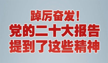 【黨的二十大】踔厲奮發(fā)！黨的二十大報告提到了這些精神