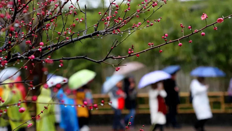 今日雨水！別忘了咱的老講究！
