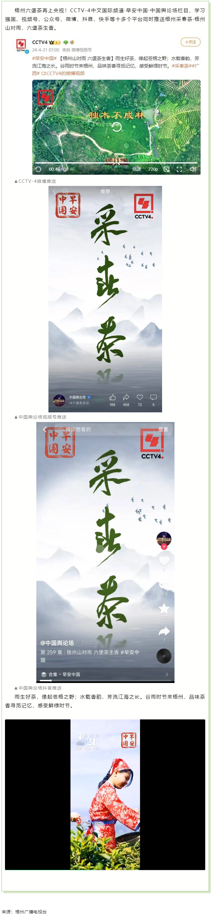 央視、學習強國等十多個平臺同時推送梧州采春茶&middot;梧州六堡茶.png