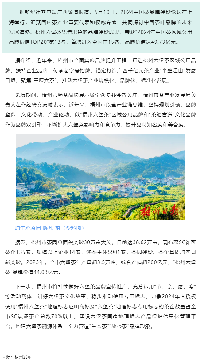 排名全國第13名！&ldquo;梧州六堡茶&rdquo;品牌價值實現(xiàn)新突破.png