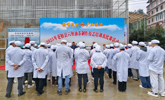 2025年蒼梧縣六堡油茶制作技藝培訓及比賽活動圓滿落幕！