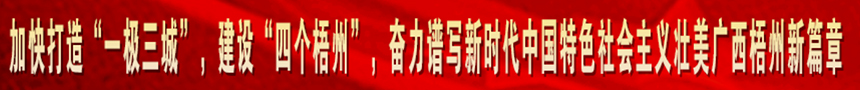 加快打造“一級(jí)三城市”，建設(shè)“四個(gè)梧州”，奮力譜寫(xiě)新時(shí)代中國(guó)特色社會(huì)主義壯美廣西梧州新篇章
