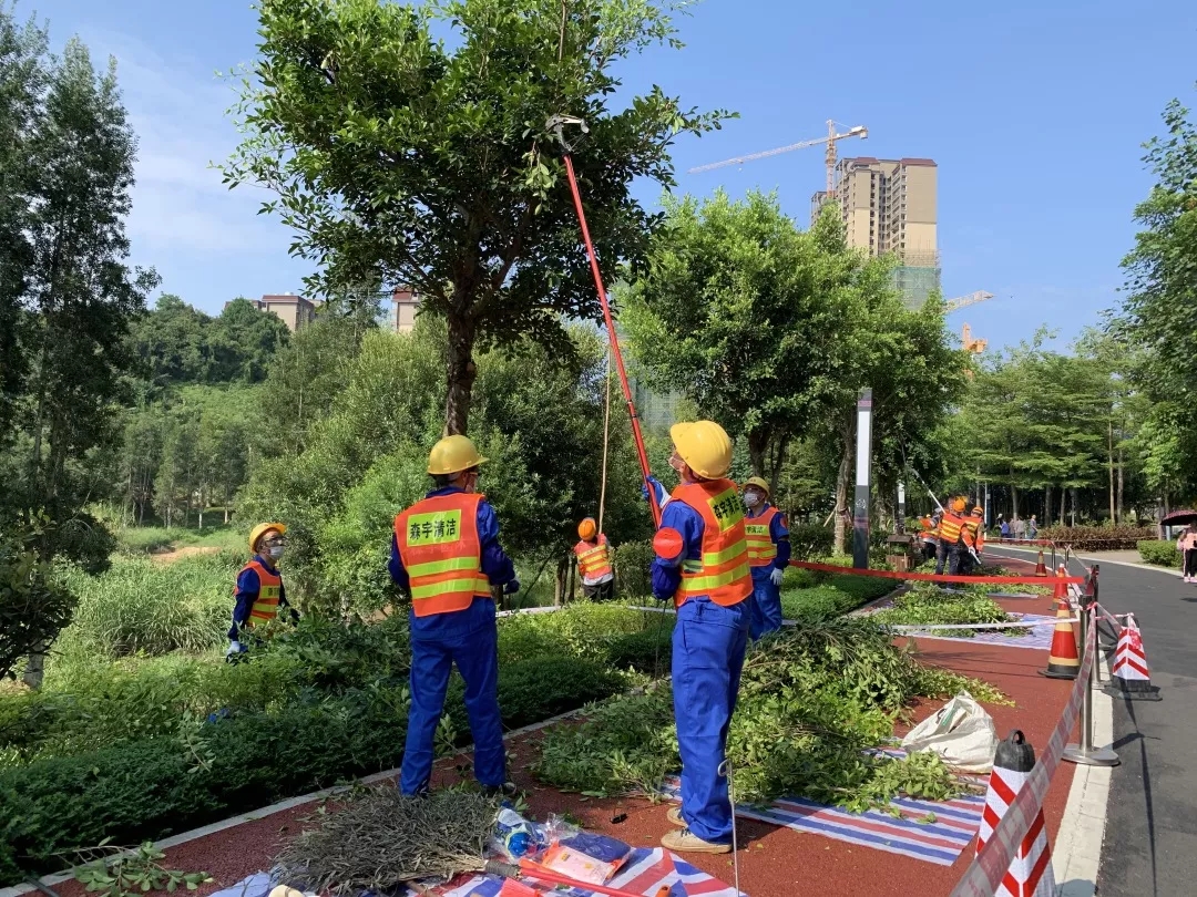 梧州市舉行首屆園林綠化行業(yè)職工技能大賽