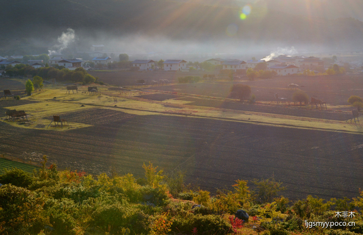 夢中的香格里拉